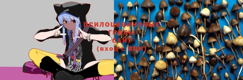 Галлюциногенные грибы Magic Shrooms  Глазов 